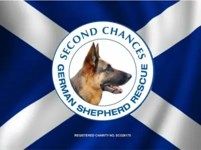 Second Chances German Shepherd Rescue logo